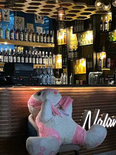 Comentarii opinii despre نالان لاونج NALAN LOUNGE