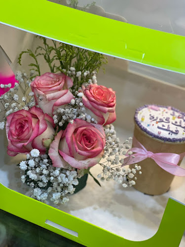 Comentarii opinii despre كيك نمرة