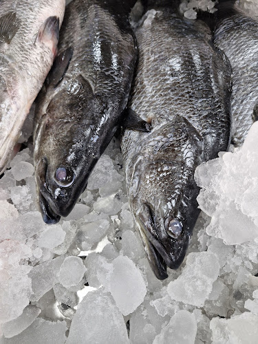 Comentarii opinii despre أصداف الجزر للأسماك