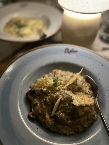 Comentarii opinii despre دلفينو