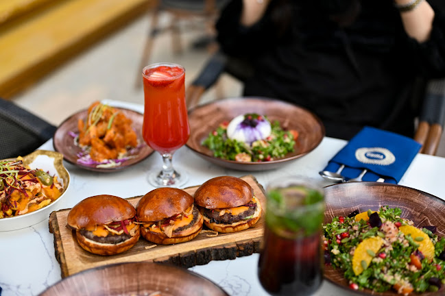 ڤيدرو - الرياض