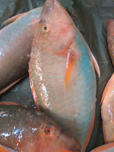 Comentarii opinii despre مطاعم الشيخ فهد عيد المزين للأسماك - الحلقه