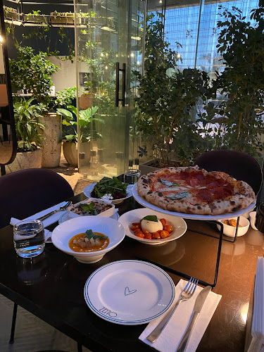 زينو - الضيافة