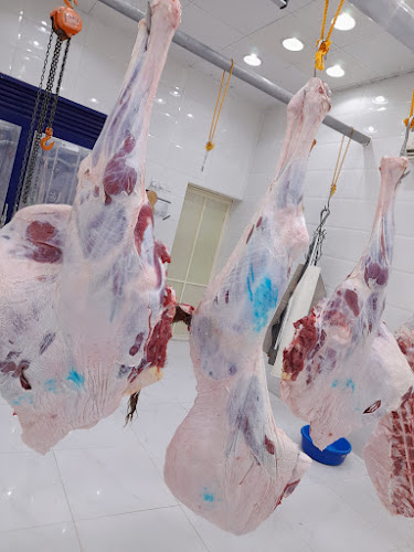 Opinii despre ملحمه مكه القيصومه în القيصومة - الضيافة