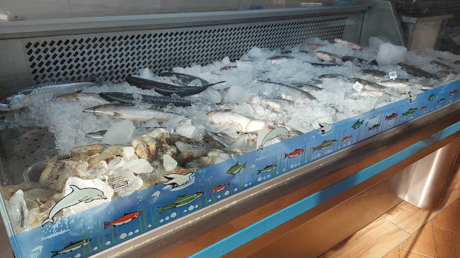 الصيّاد للإسماك