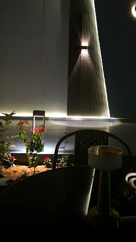 Comentarii opinii despre رشف RSHF