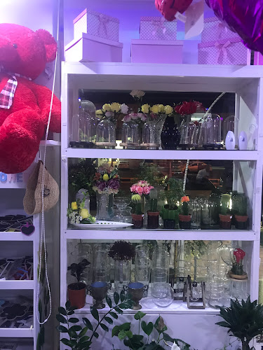 Susan's Flowers - الضيافة