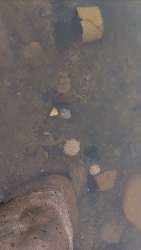 Opinii despre حكاية منتو - القنفذة în القنفذة - الضيافة