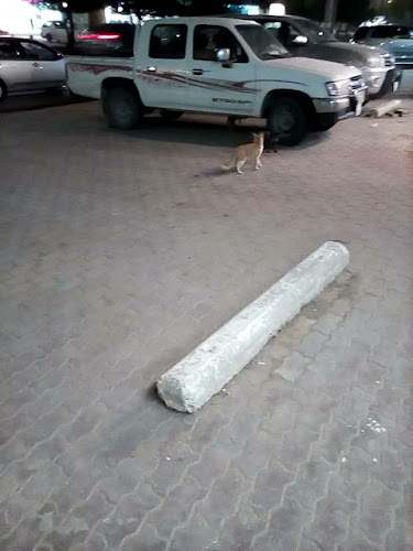 فول وفلافل هاجر - المجمعة