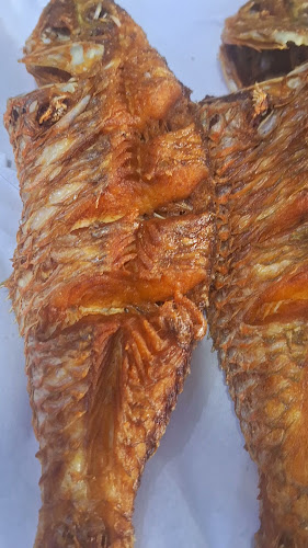 اسماك بحار غران 2