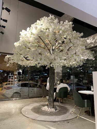 CH.1 specialty coffee - الدمام