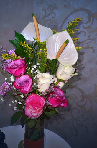 روح ورد - الضيافة