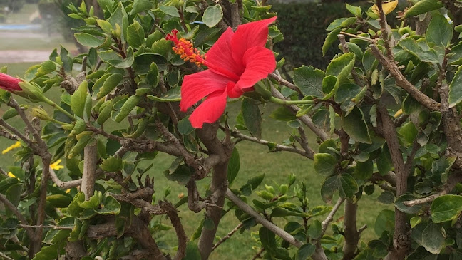 Opinii despre البخاري للمنتو والفرموزة în مكة - الضيافة