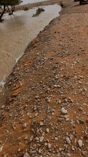 WORK&CO. - الضيافة