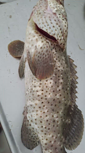 مطعم نواجل البحار للمأكولات البحرية nazill fish restaurant