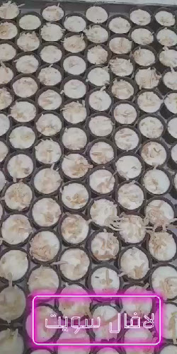 يونيك شوكلت | Unique Chocolate - الضيافة