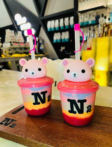 Comentarii opinii despre N2