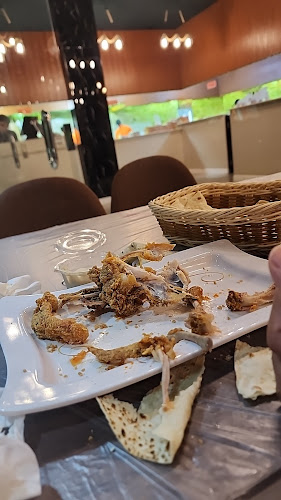 مطعم شلال فضي لتقديم الوجبات