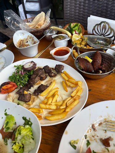 Comentarii opinii despre يوميات