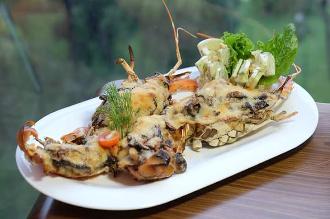 مطعم المدينة