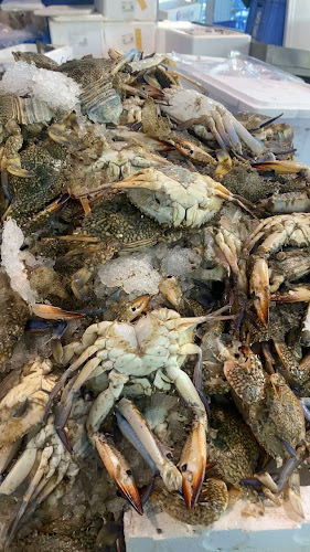 Opinii despre أسماك الوشم în الرياض - الضيافة