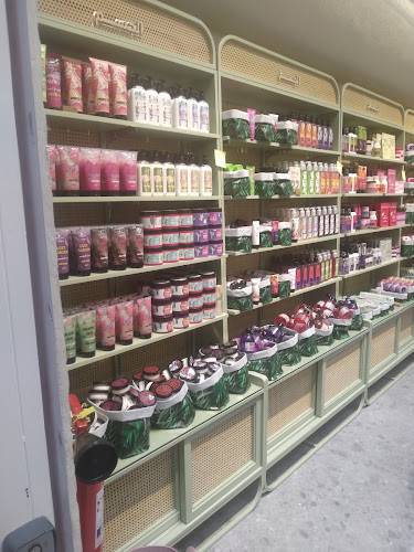 Comentarii opinii despre سينابون