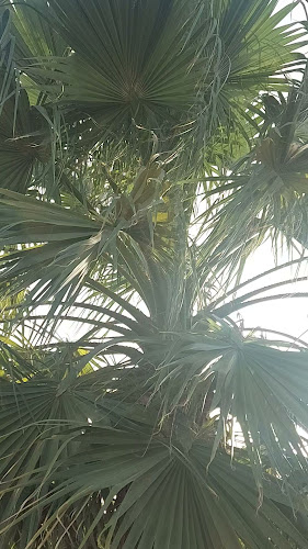 Night time coffee - الضيافة