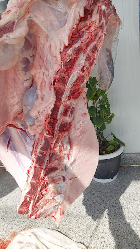 طريق أنس ابن مالك، النرجس، الرياض 13328