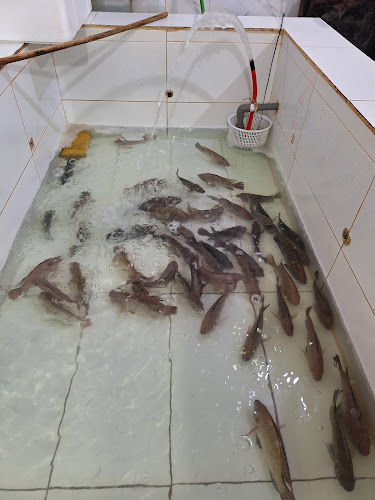 Comentarii opinii despre مطعم لذة السمك الطازج