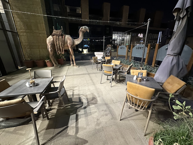 هوكس HOAXلاونج - الضيافة