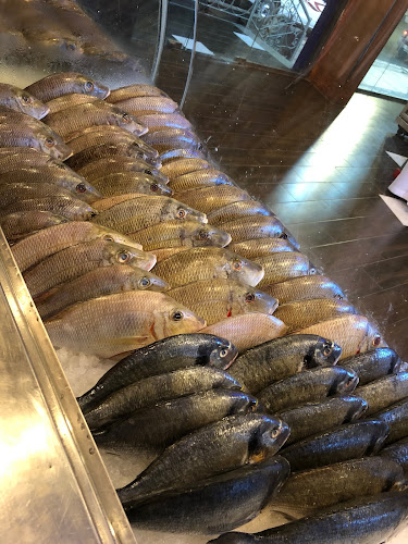 طريق الملك عبدالعزيز، وسط المدينة، الباحة 65522