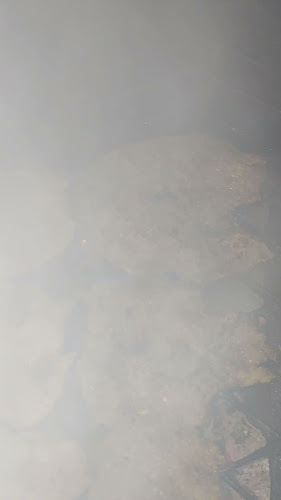 Sirih al-Mazaq - سيريه المذاق