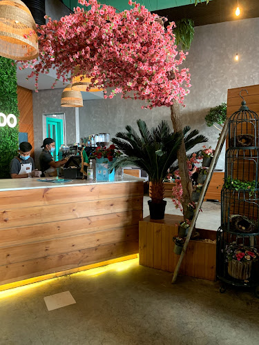 Comentarii opinii despre موليدو كافيه