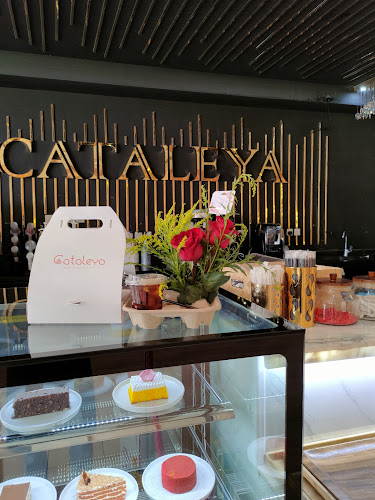 Comentarii opinii despre cataleya cafe كتاليا كافيه