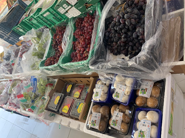 شارع بدر، الجزيرة، القطيف‎ 32636