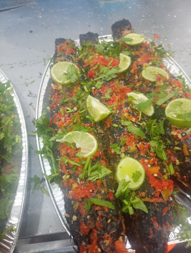 بيت البركة للأسماك