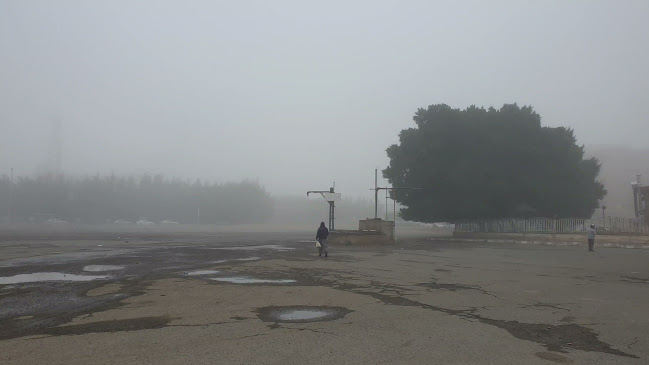 مطعم الحديقة