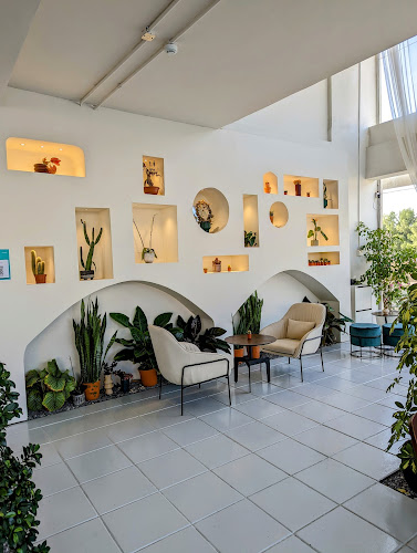 مقهى - مجتمع فناء - الضيافة