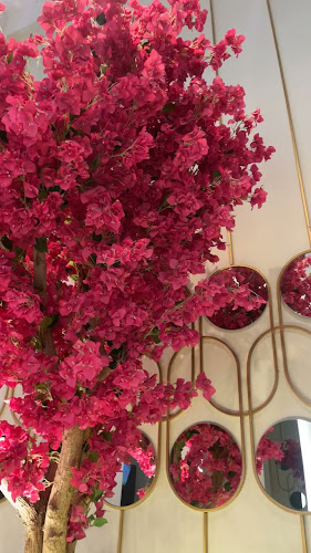 فيلوتشي كافيه