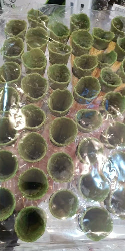 Comentarii opinii despre مبدعين الكيك