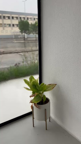 Opinii despre ايدين în مكة - الضيافة