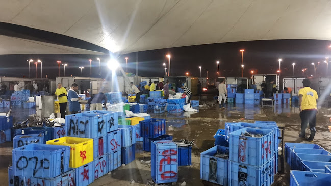 سوق السمك المركزي القطيف - القطيف‎