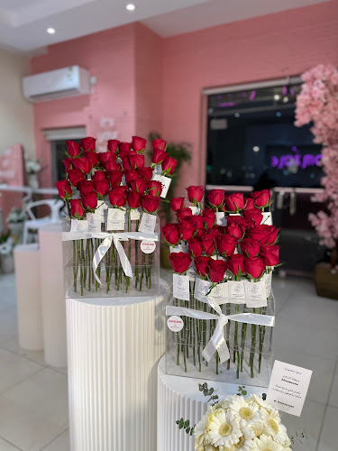 منطقة الازدهار/bloomzone