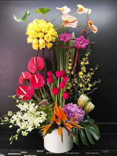 H5W8+8WH، البوادي، جدة 23443