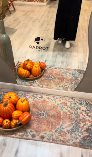 باروت - PARROT CAFE - الضيافة