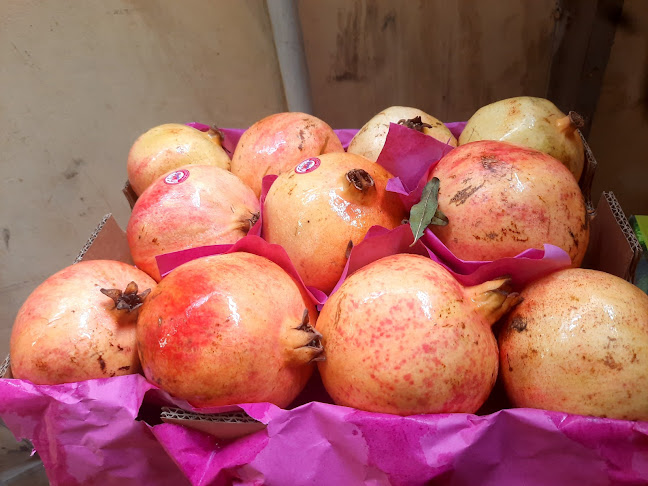 8239 وديع البستاني, ALJNAH Al Ajwad، جدة 23466