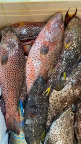 Opinii despre ربيانة السواحل în تبوك - الضيافة