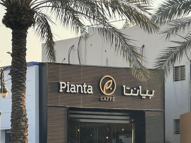 الامير محمد بن عبدالعزيز، السليمانية، الرياض 12223