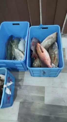 مسمكة قدوره للاسماك الطازجه