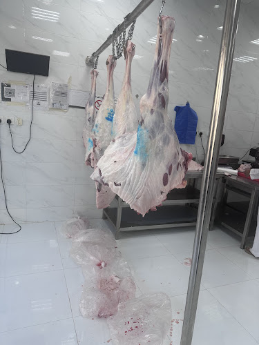 Opinii despre ملحمة الاختيار 2 în المدينة المنورة - الضيافة